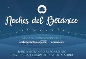 Noches del Botánico 2022 - Conciertos, cartel y entradas | Programación